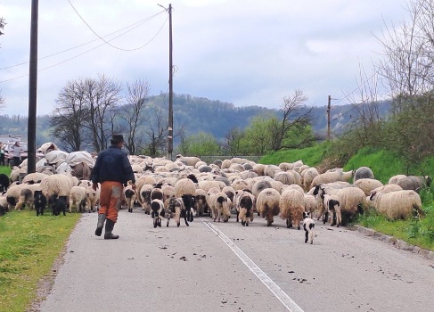 Bosnien-Herzegowina 40