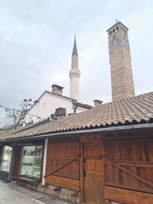 Bosnien-Herzegowina 65