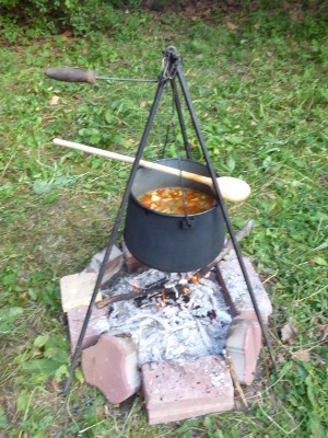Veganes Essen DG Ungarn 1