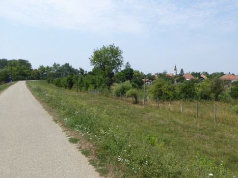 Radweg Tisza Deich 1