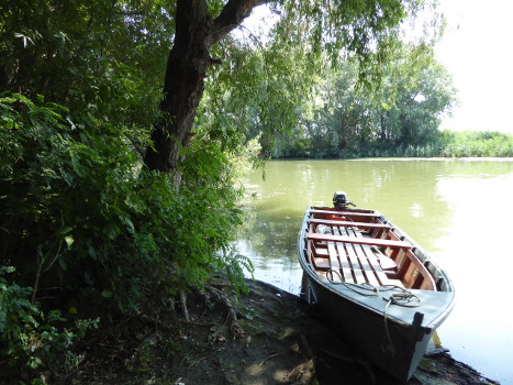 Tisza To Boot