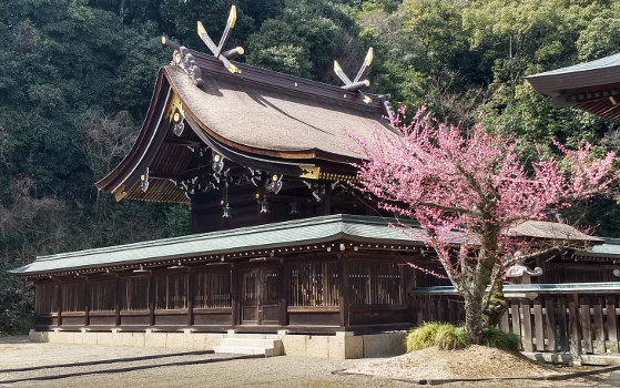 Japan Radroute Kibiji 14b