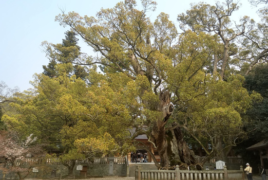 Japan Radroute Shimanami Kaido 47
