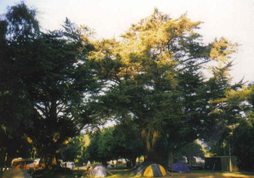 Camping Neuseeland