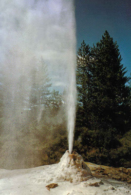 Neusseland Geysir PK
