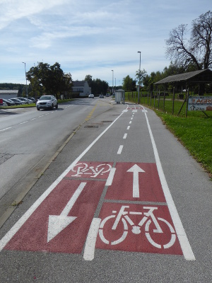 Radweg Ptuj 4