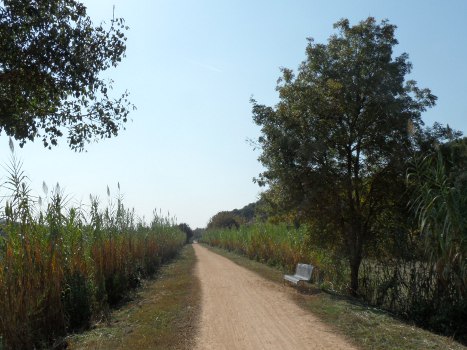 Via Verde Girona 1